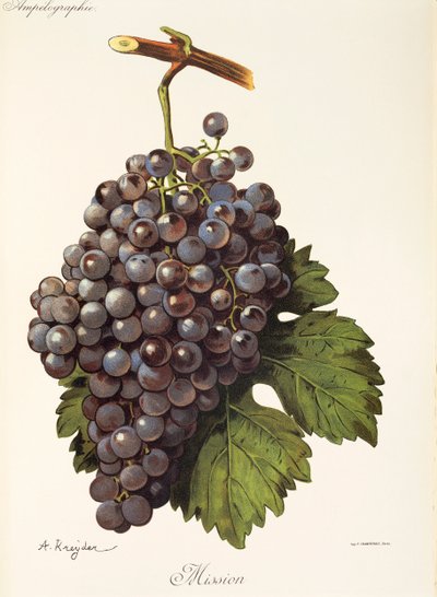 Raisin Mission - Alexis Kreyder
