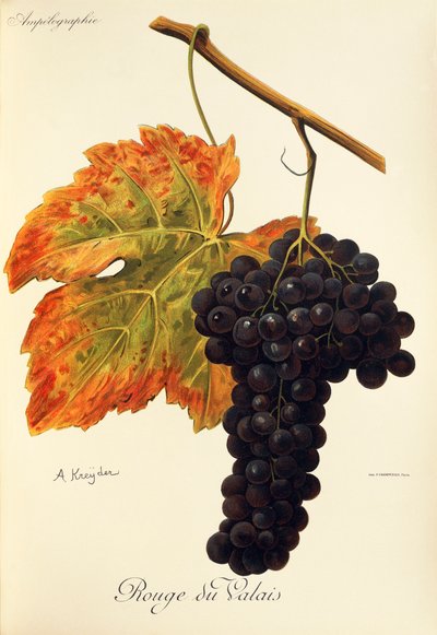 Rouge du Valais - Alexis Kreyder