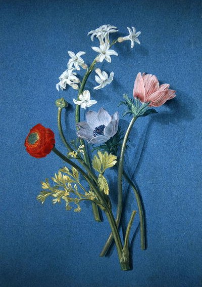 Renoncules, anémones et jasmin - Alexis Nicolas Perignon