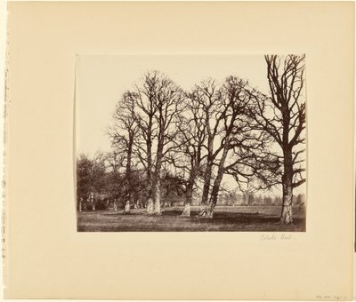 Blake Hall - Alfred Capel Cure