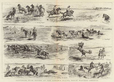 Capture de chevaux sauvages sur les plaines de Laramie, Amérique du Nord-Ouest - Alfred Chantrey Corbould