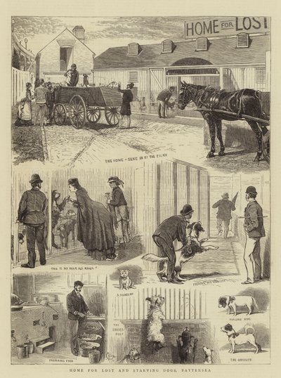 Maison pour chiens perdus et affamés, Battersea - Alfred Chantrey Corbould