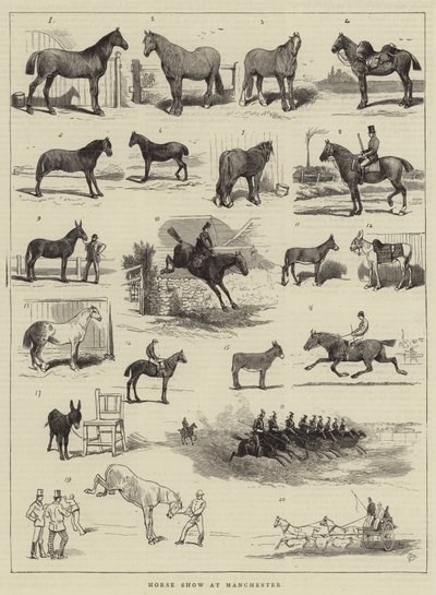 Exposition de chevaux à Manchester - Alfred Chantrey Corbould