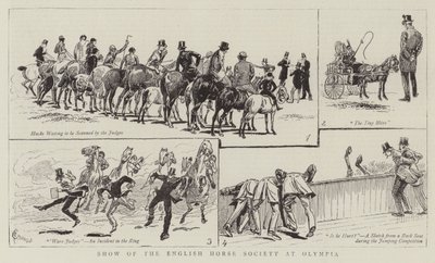 Exposition de la Société anglaise du cheval à Olympia - Alfred Chantrey Corbould