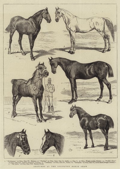 Croquis au Salon du Cheval d