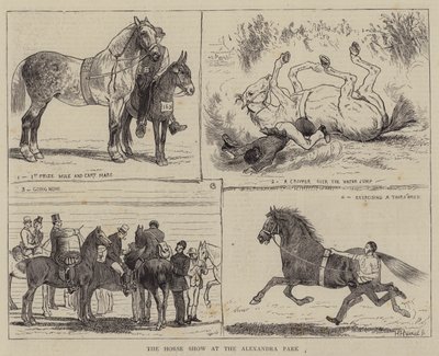 Le salon du cheval à Alexandra Park - Alfred Chantrey Corbould