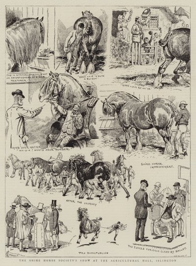 Exposition de la Société des Chevaux de Trait à l