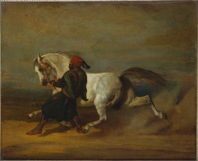 La Fierté du Pacha - Alfred Dedreux