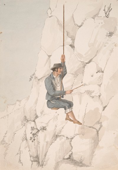 Gomero, cueilleur d