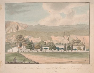 Le jardin botanique près de Port Orotava, Tenerife - Alfred Diston