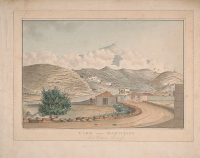 Vue de Martianez, Port Orotava, Tenerife - Alfred Diston
