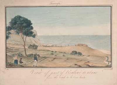 Vue d