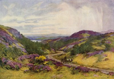 Danemark : Collines de Raebild, près d