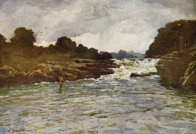 Chutes de Kathleen, Ballyshannon - Alfred Heaton Cooper
