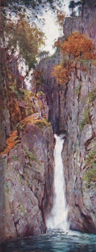 District des Lacs : Dalegarth Force, Eskdale - Alfred Heaton Cooper