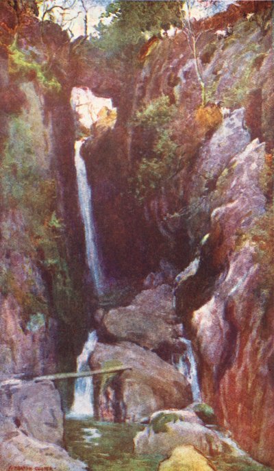District des Lacs : Dungeon Ghyll Force, Langdale - Alfred Heaton Cooper