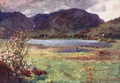 District des Lacs : Little Langdale Tarn - Alfred Heaton Cooper
