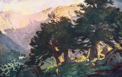 District des Lacs : Les Ifs de Borrowdale, soir - Alfred Heaton Cooper