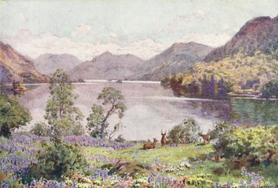 District des Lacs : Ullswater, depuis Gowbarrow Park, un matin de juin étouffant - Alfred Heaton Cooper