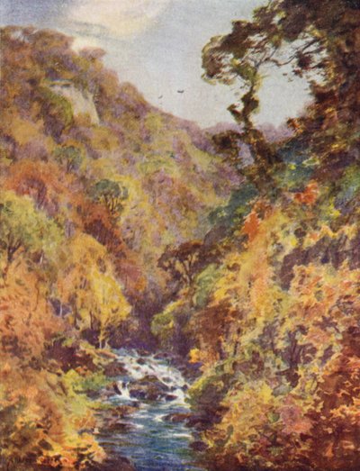Le Dargle, comté de Wicklow - Alfred Heaton Cooper