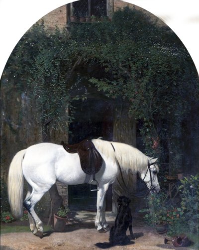 Cheval blanc et retriever - Alfred Hichens Corbould