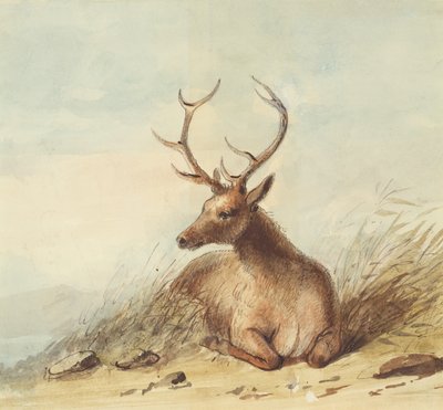 Élan, Montagnes Rocheuses, vers 1837 - Alfred Jacob Miller