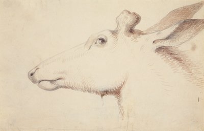 Élan. vers 1837 - Alfred Jacob Miller