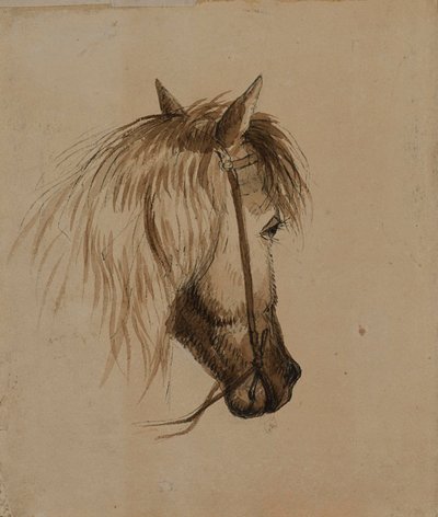 Tête de cheval - Alfred Jacob Miller