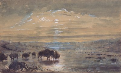 Scène nocturne, bisons dans la prairie, c.1837 - Alfred Jacob Miller