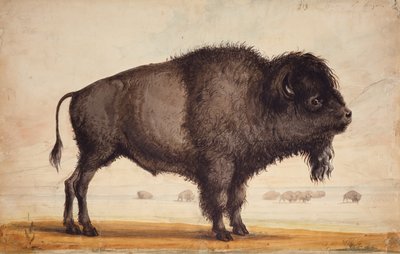 Sentant la brise, c.1837 - Alfred Jacob Miller