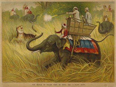 Édouard, Prince de Galles, chassant des tigres lors d