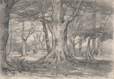 Paysage forestier près de Boldrewood - Alfred Parsons