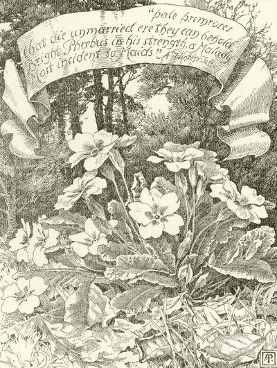 Pâles primevères - Alfred Parsons