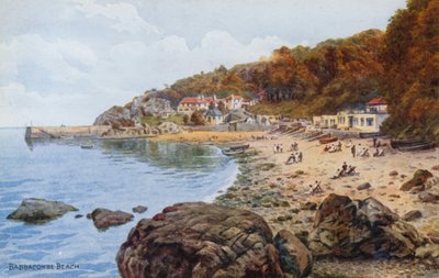 Plage de Babbacombe - Alfred Robert Quinton