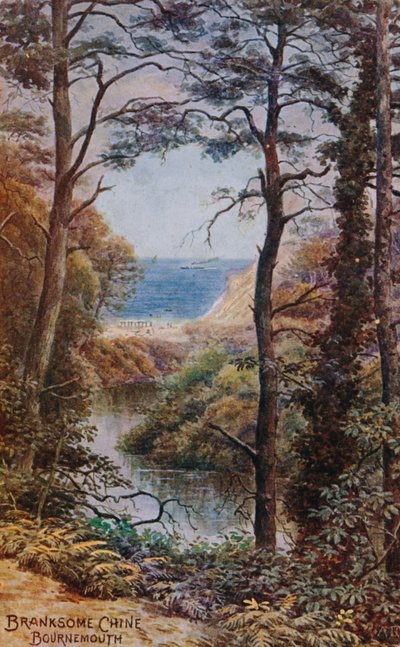 Branksome Chine, Bournemouth - Alfred Robert Quinton
