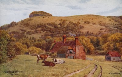 Chanctonbury Ring, Worthing - Alfred Robert Quinton