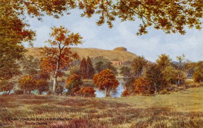 Chanctonbury Ring, depuis Wiston Pond, South Downs - Alfred Robert Quinton