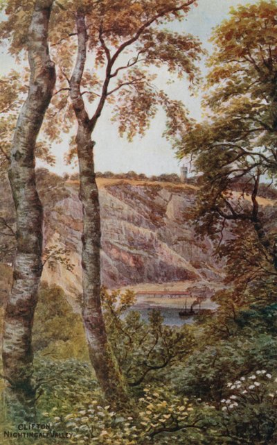 Clifton, Vallée des Rossignols - Alfred Robert Quinton
