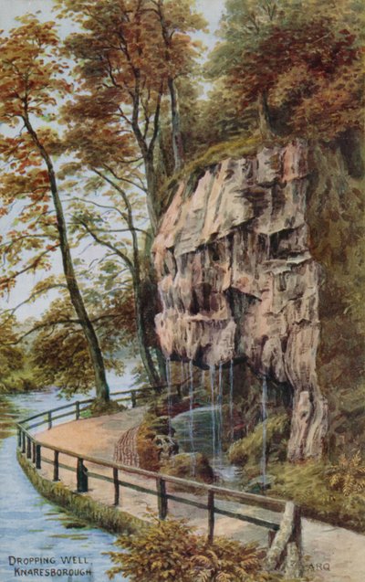 Puits de Knaresborough - Alfred Robert Quinton