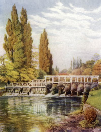 Pièges à anguilles à Hedsor - Alfred Robert Quinton