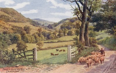 Nant Y Glyn Valley, Colwyn Bay (lithographie couleur) - Alfred Robert Quinton
