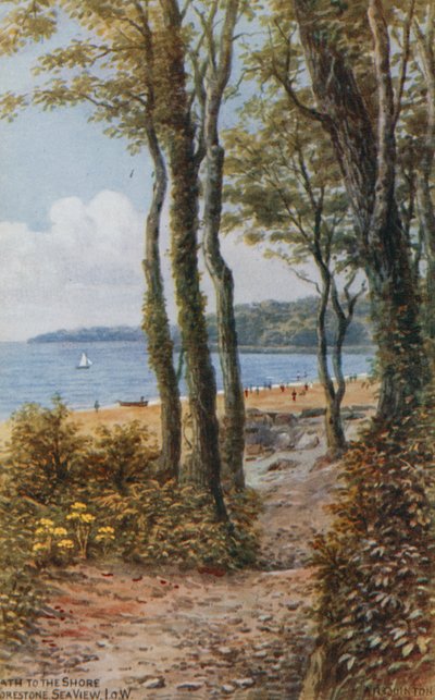 Chemin vers le rivage, vue sur la mer, île de Wight - Alfred Robert Quinton