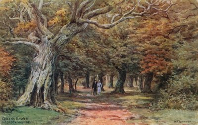 Repaire de la Reine près de Brockenhurst - Alfred Robert Quinton