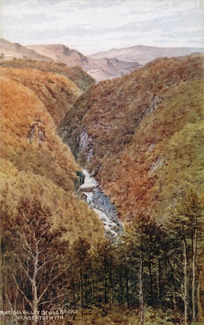 Vallée de Rheidol, Pont du Diable, près d