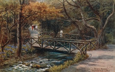 Ponts rustiques, Groudle Glen, Île de Man - Alfred Robert Quinton