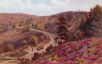 Pierre du marin et Gibbet Hill, Hindhead - Alfred Robert Quinton