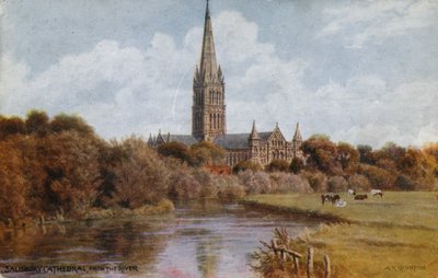 Cathédrale de Salisbury - Alfred Robert Quinton