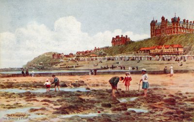 Sheringham, la plage et les falaises - Alfred Robert Quinton