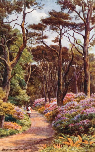 Bois de Sheringham - Alfred Robert Quinton