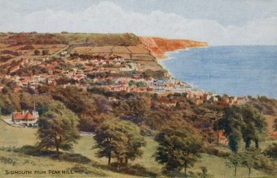 Sidmouth depuis Peak Hill - Alfred Robert Quinton